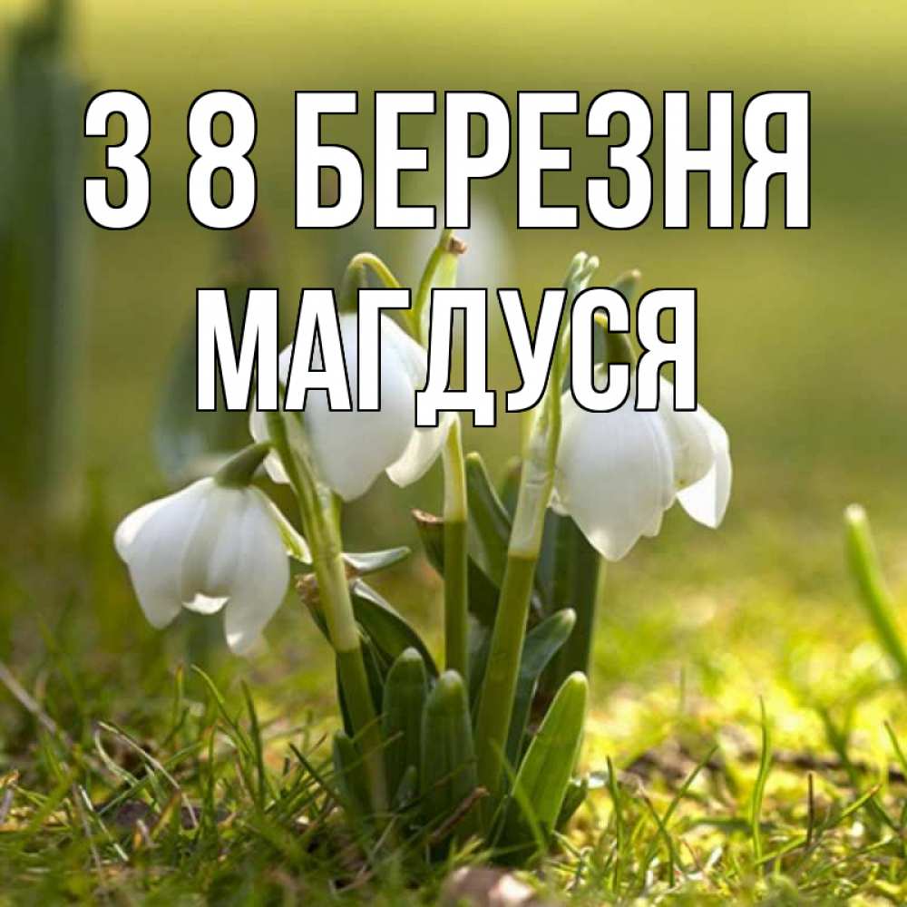 Открытка на каждый день з підписом, Магдуся З 8 БЕРЕЗНЯ ранние цветы 2 Прикольна листівка з побажанням онлайн скачати безкоштовно 