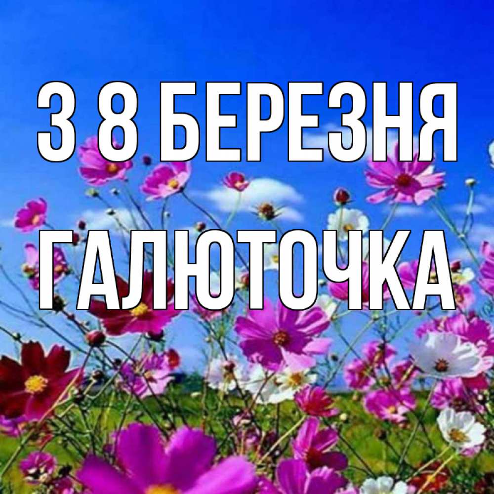 Открытка на каждый день з підписом, Галюточка З 8 БЕРЕЗНЯ цветы Прикольна листівка з побажанням онлайн скачати безкоштовно 