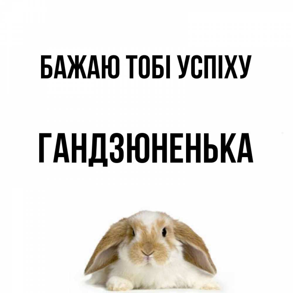 Открытка на каждый день з підписом, Гандзюненька Бажаю тобі успіху открытки с произвольным текстом который можно вставить в открытку и создать ее самостоятельно бесплатно онлайн Прикольна листівка з побажанням онлайн скачати безкоштовно 