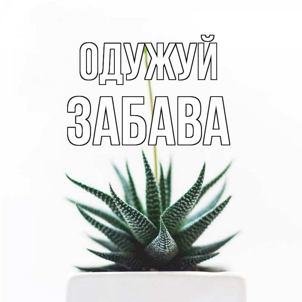 Открытка на каждый день з підписом, Забава Одужуй короче это непонятная колючка Прикольна листівка з побажанням онлайн скачати безкоштовно 