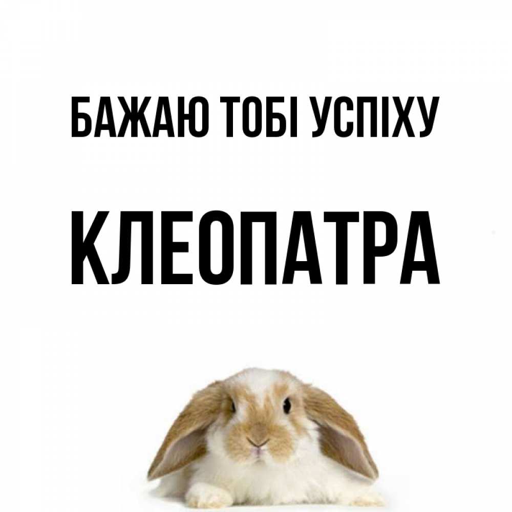 Открытка на каждый день з підписом, Клеопатра Бажаю тобі успіху открытки с произвольным текстом который можно вставить в открытку и создать ее самостоятельно бесплатно онлайн Прикольна листівка з побажанням онлайн скачати безкоштовно 