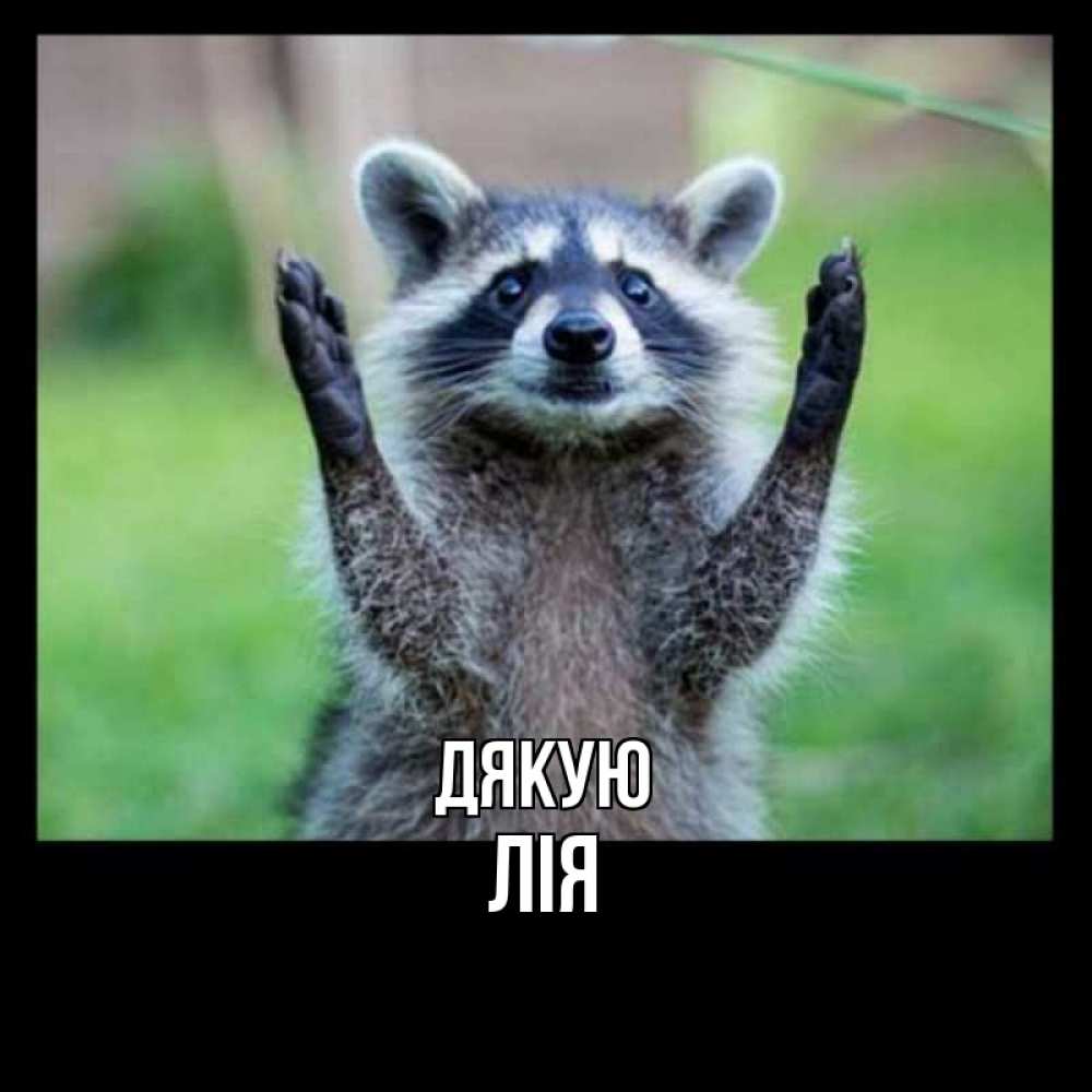 Открытка на каждый день з підписом, Лія Дякую милые животные Прикольна листівка з побажанням онлайн скачати безкоштовно 