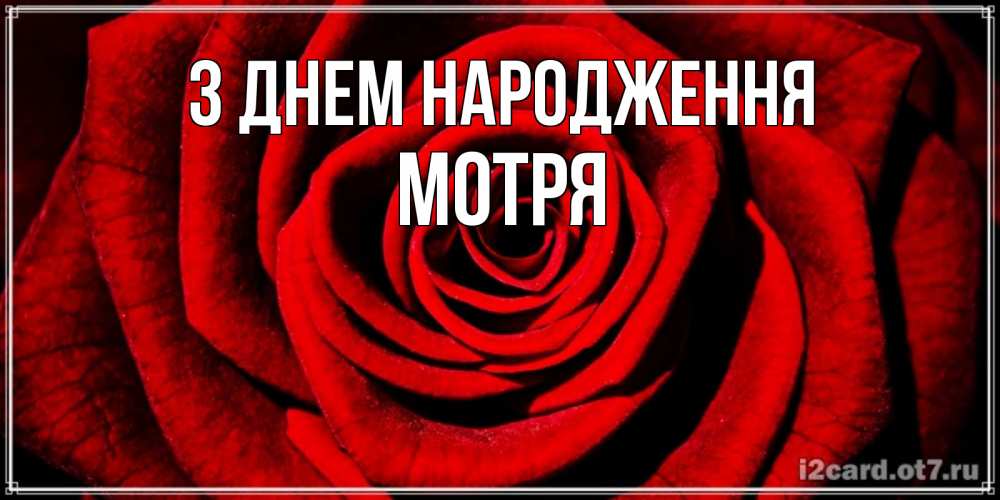 Открытка на каждый день з підписом, Мотря З Днем народження алая роза Прикольна листівка з побажанням онлайн скачати безкоштовно 