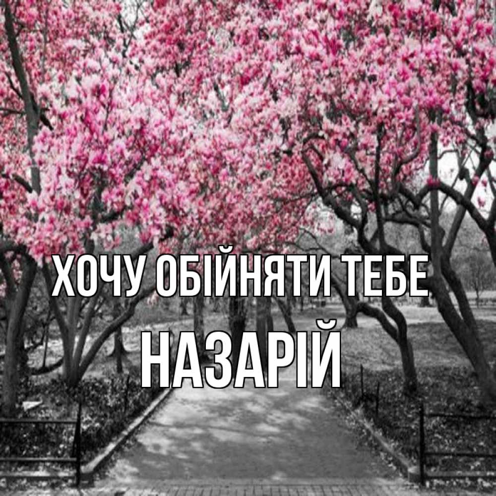 Открытка на каждый день з підписом, Назарій Хочу обійняти тебе обработанное фото Прикольна листівка з побажанням онлайн скачати безкоштовно 