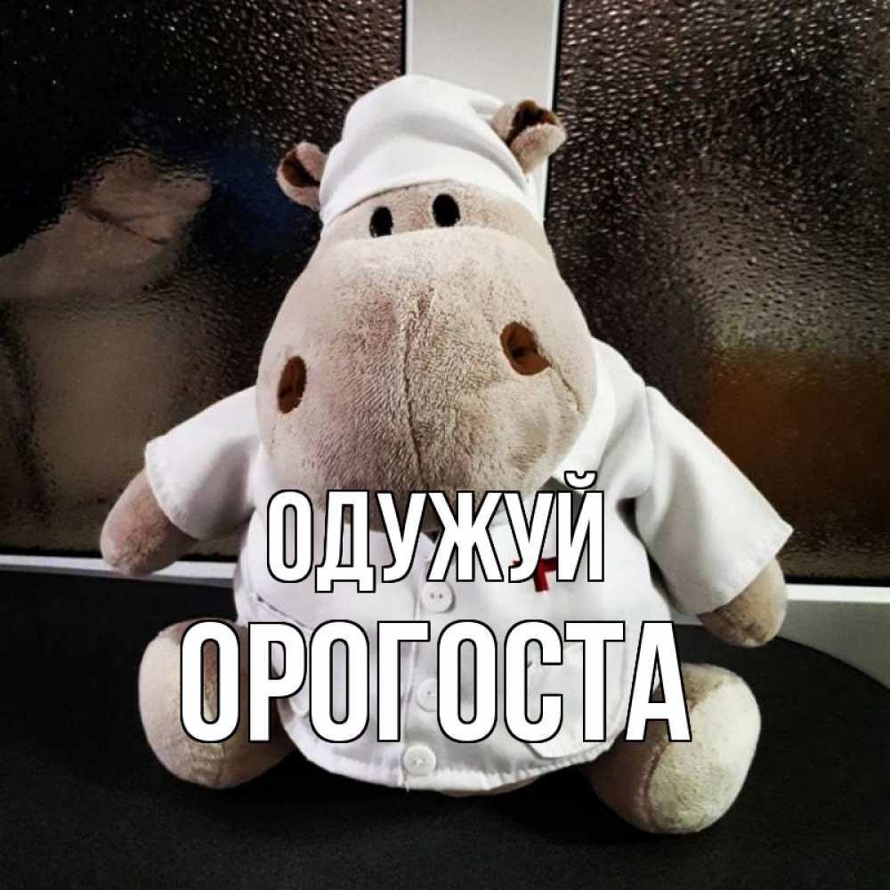 Открытка на каждый день з підписом, Орогоста Одужуй всех излечит исцелит Прикольна листівка з побажанням онлайн скачати безкоштовно 