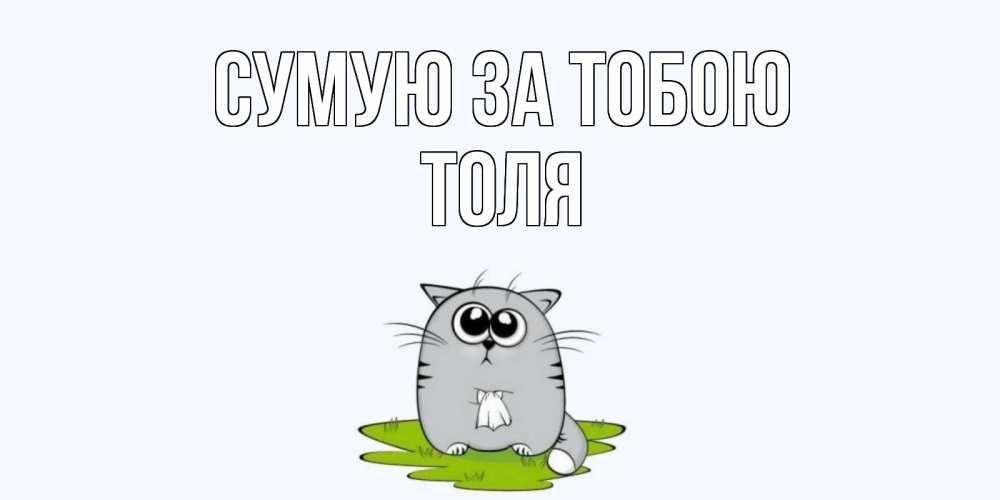 Открытка на каждый день з підписом, Толя Сумую за тобою открытки с котиками я по тебе скучаю с именем Прикольна листівка з побажанням онлайн скачати безкоштовно 