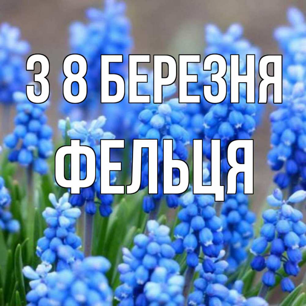 Открытка на каждый день з підписом, Фельця З 8 БЕРЕЗНЯ Поздравительная открытка для женщин с цветами на праздничную дату Прикольна листівка з побажанням онлайн скачати безкоштовно 