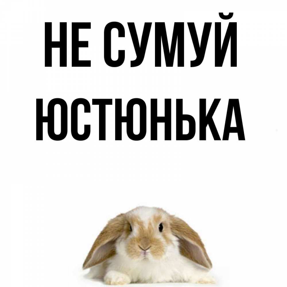 Открытка на каждый день з підписом, Юстюнька Не сумуй коричнево белый заяц с большими ушками Прикольна листівка з побажанням онлайн скачати безкоштовно 