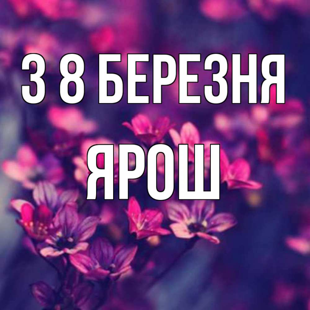 Открытка на каждый день з підписом, Ярош З 8 БЕРЕЗНЯ небольшие цветы 1 Прикольна листівка з побажанням онлайн скачати безкоштовно 