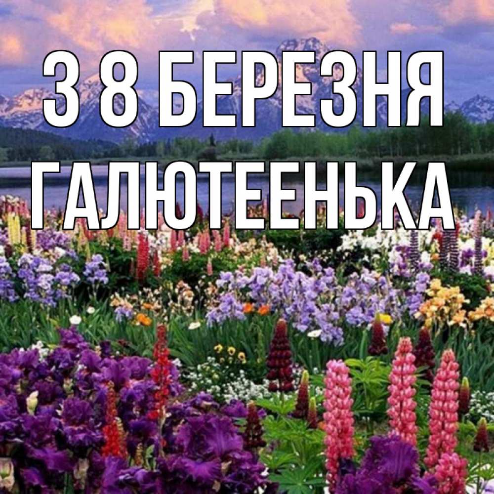Открытка на каждый день з підписом, Галютеенька З 8 БЕРЕЗНЯ международный женский день Прикольна листівка з побажанням онлайн скачати безкоштовно 