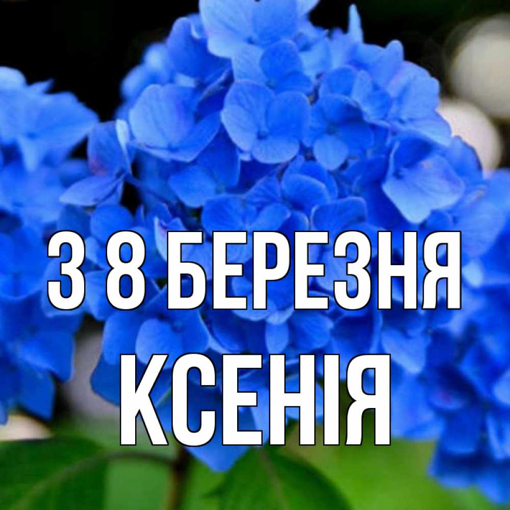 Открытка на каждый день з підписом, Ксенія З 8 БЕРЕЗНЯ синие цветы Прикольна листівка з побажанням онлайн скачати безкоштовно 