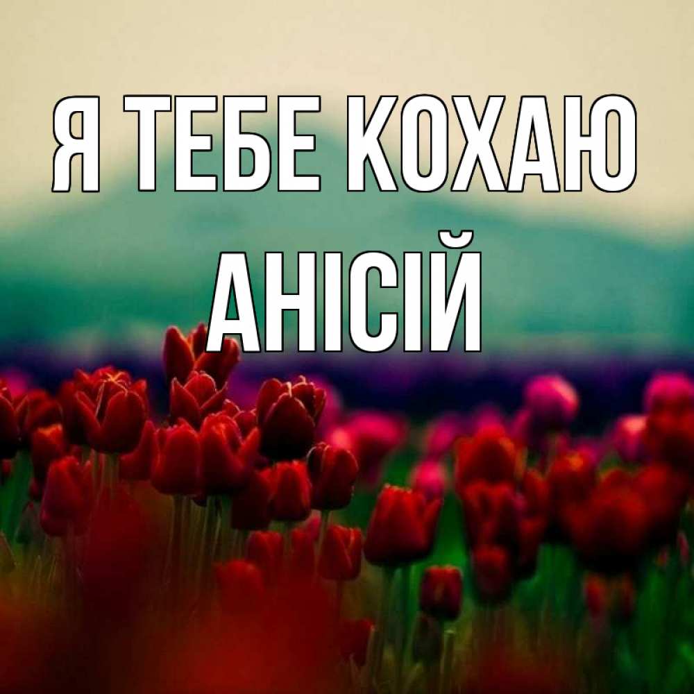 Открытка на каждый день з підписом, Анісій Я тебе кохаю тюльпаны 4 Прикольна листівка з побажанням онлайн скачати безкоштовно 