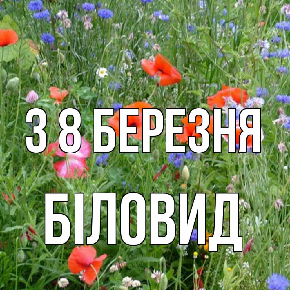 Открытка на каждый день з підписом, Біловид З 8 БЕРЕЗНЯ международный женский день 4 Прикольна листівка з побажанням онлайн скачати безкоштовно 