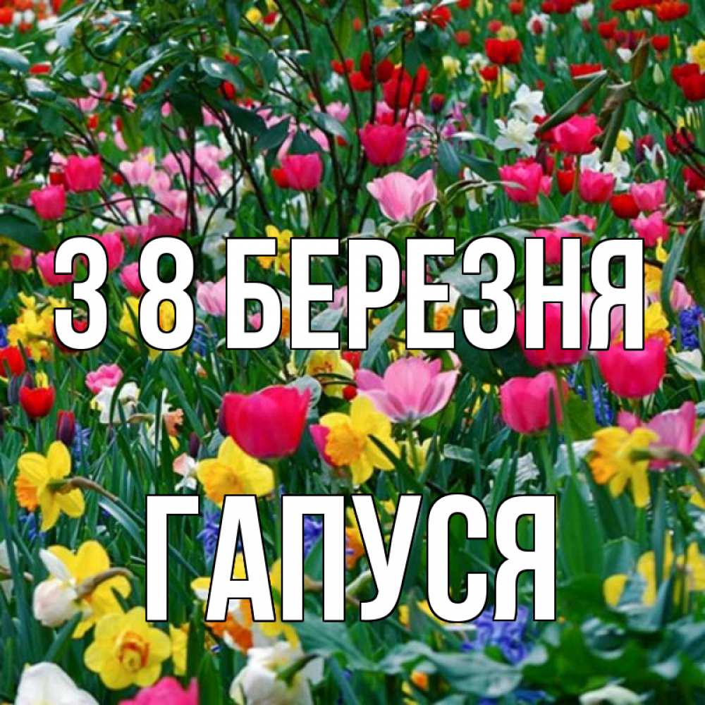 Открытка на каждый день з підписом, Гапуся З 8 БЕРЕЗНЯ с международным женским днем поздравления для женщины Прикольна листівка з побажанням онлайн скачати безкоштовно 