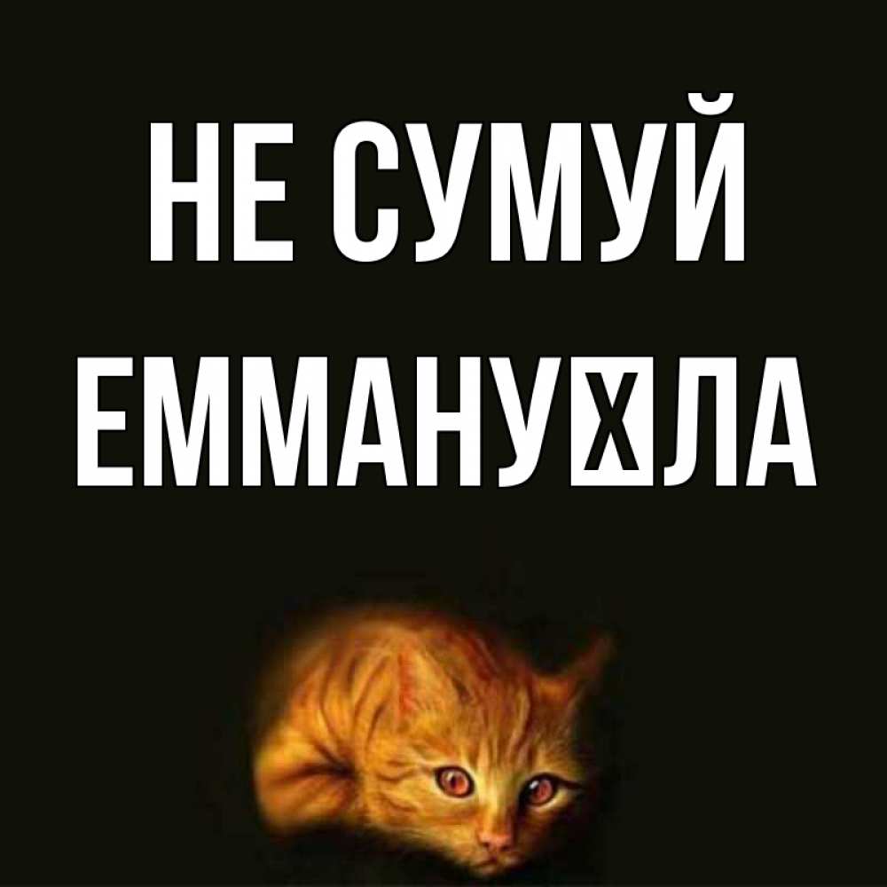 Открытка на каждый день з підписом, Еммануїла Не сумуй лежащий кот в темноте Прикольна листівка з побажанням онлайн скачати безкоштовно 