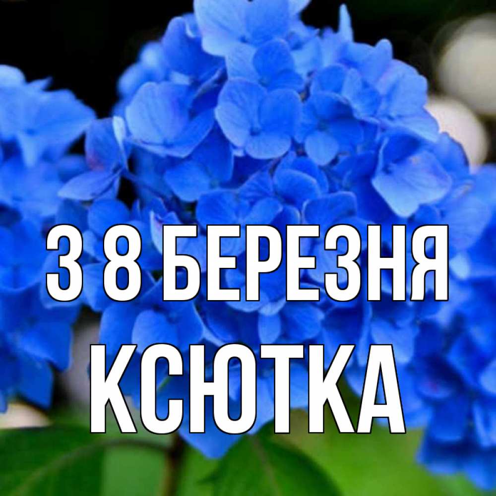Открытка на каждый день з підписом, Ксютка З 8 БЕРЕЗНЯ синие цветы Прикольна листівка з побажанням онлайн скачати безкоштовно 