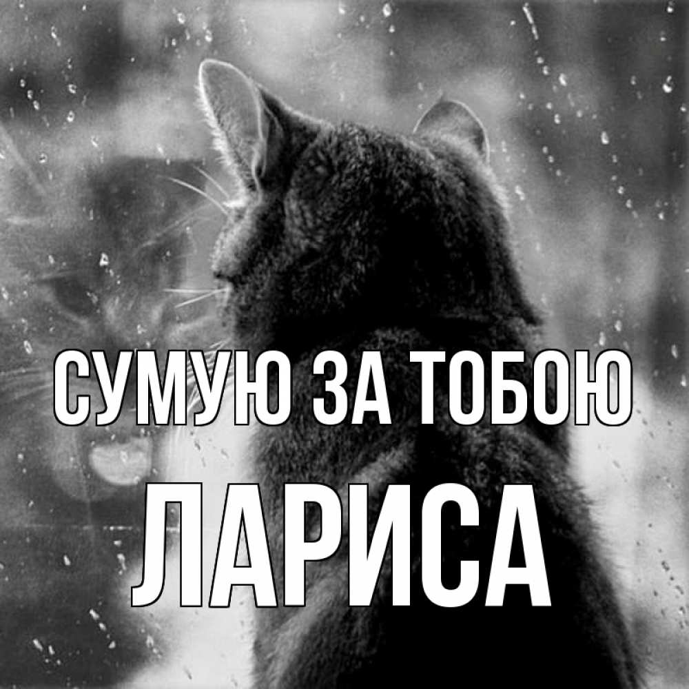 Открытка на каждый день з підписом, Лариса Сумую за тобою скорее ко мне приходи 1 Прикольна листівка з побажанням онлайн скачати безкоштовно 