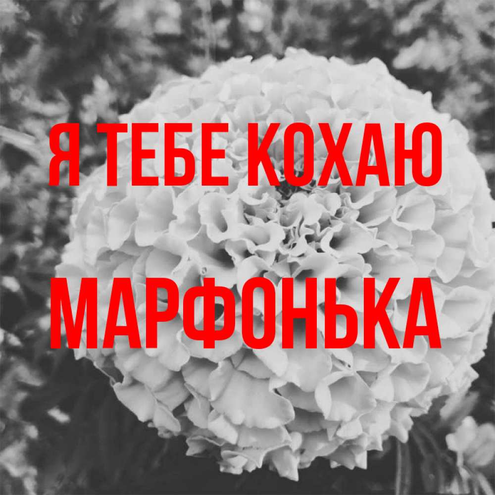 Открытка на каждый день з підписом, Марфонька Я тебе кохаю подпись Прикольна листівка з побажанням онлайн скачати безкоштовно 