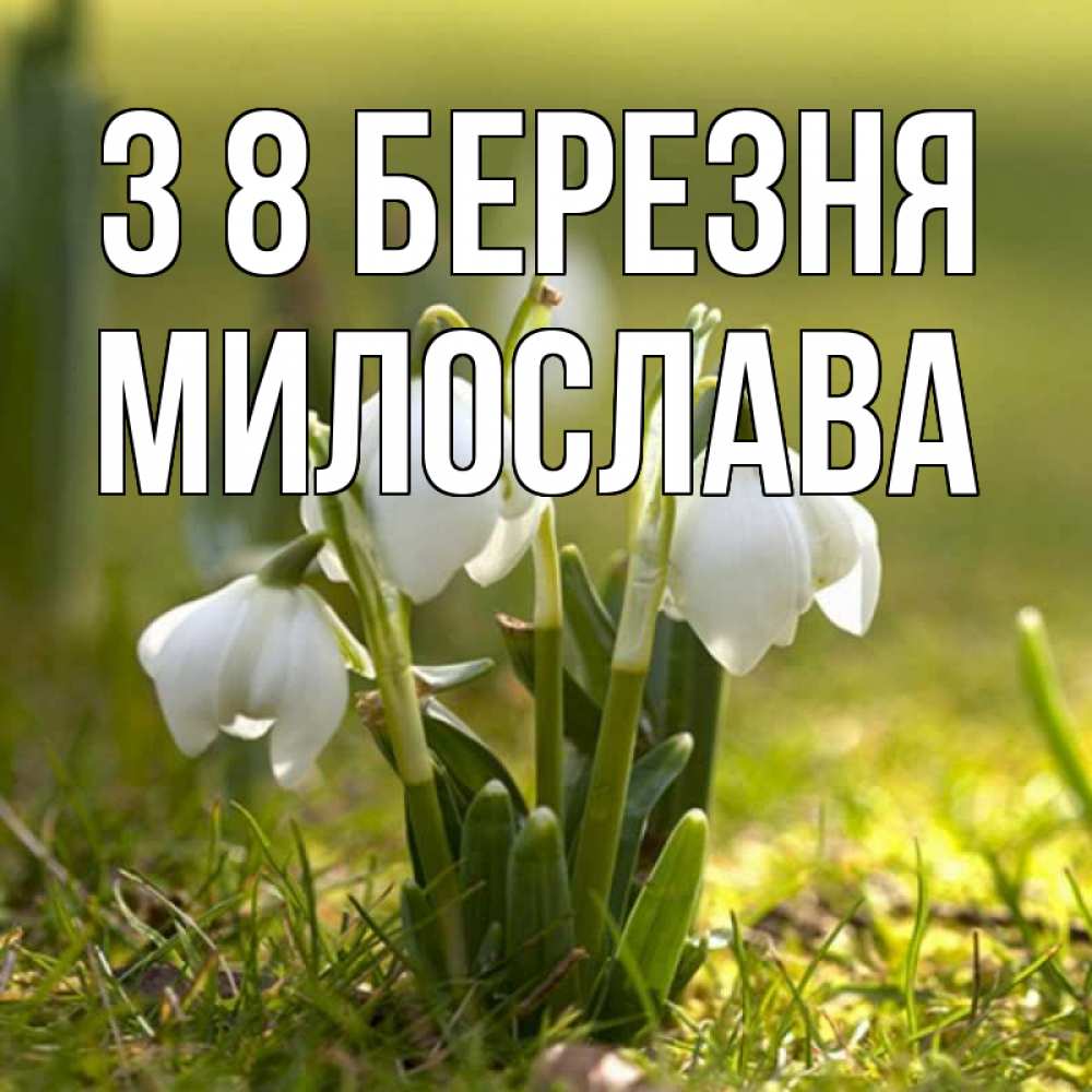 Открытка на каждый день з підписом, Милослава З 8 БЕРЕЗНЯ ранние цветы 2 Прикольна листівка з побажанням онлайн скачати безкоштовно 