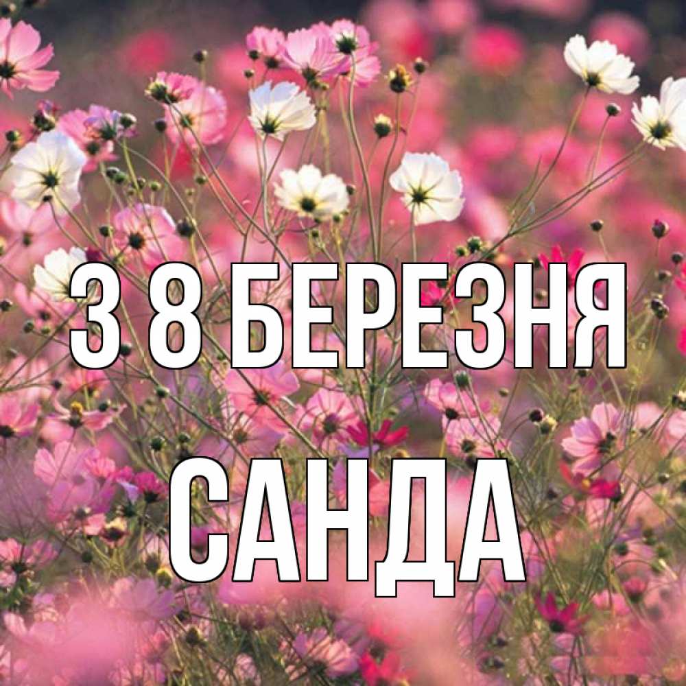 Открытка на каждый день з підписом, Санда З 8 БЕРЕЗНЯ красиво 1 Прикольна листівка з побажанням онлайн скачати безкоштовно 