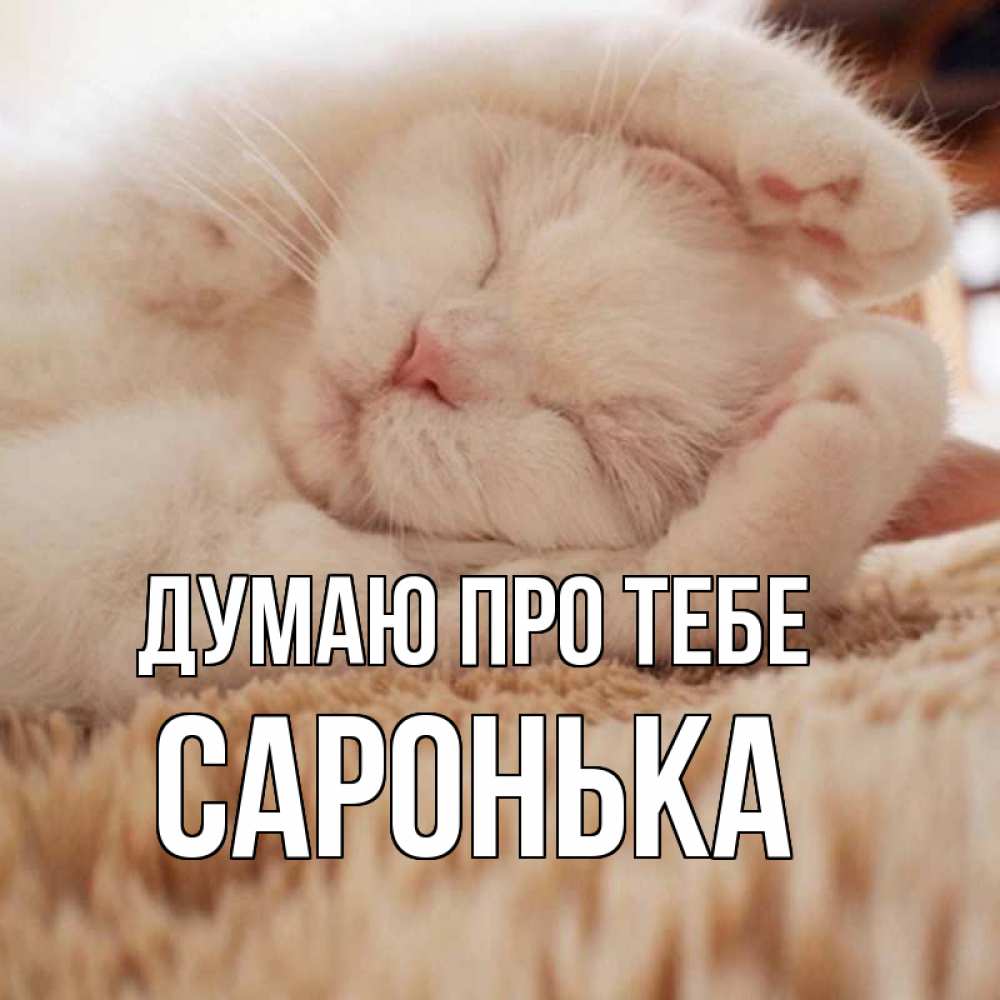 Открытка на каждый день з підписом, Саронька Думаю про тебе для любимой девушки милота Прикольна листівка з побажанням онлайн скачати безкоштовно 