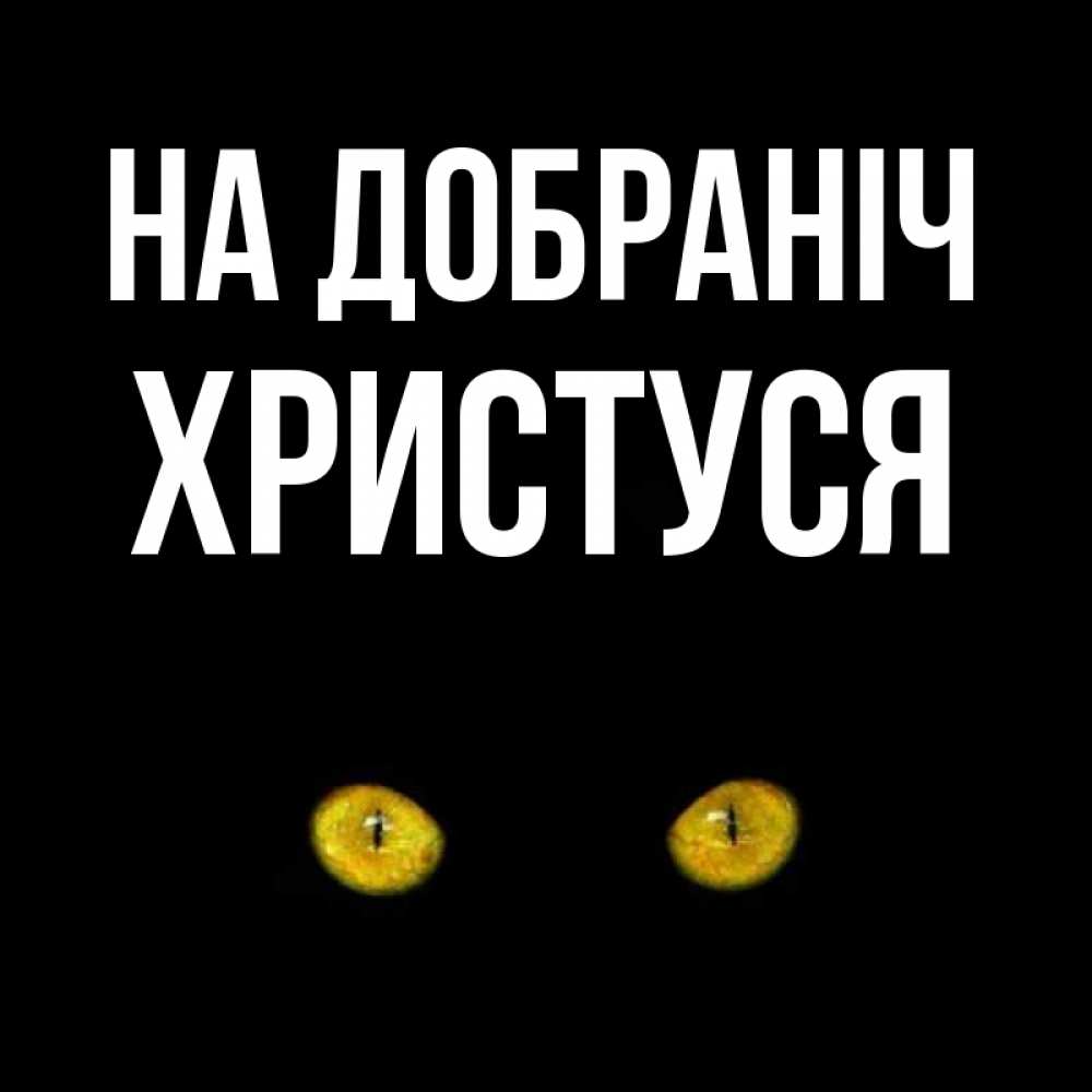 Открытка на каждый день з підписом, Христуся На добраніч сладких снов бесстрашный мой дружочек Прикольна листівка з побажанням онлайн скачати безкоштовно 