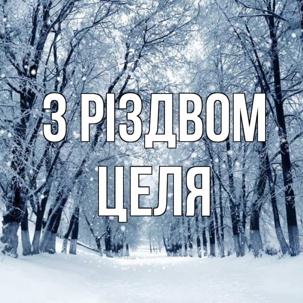 Открытка на каждый день з підписом, Целя З Різдвом снег, лес, парк Прикольна листівка з побажанням онлайн скачати безкоштовно 