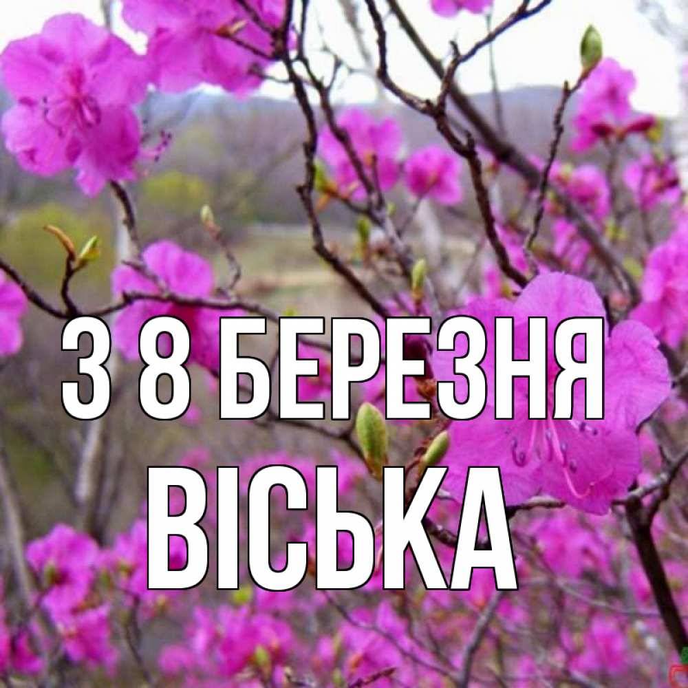 Открытка на каждый день з підписом, Віська З 8 БЕРЕЗНЯ международный женский день Прикольна листівка з побажанням онлайн скачати безкоштовно 