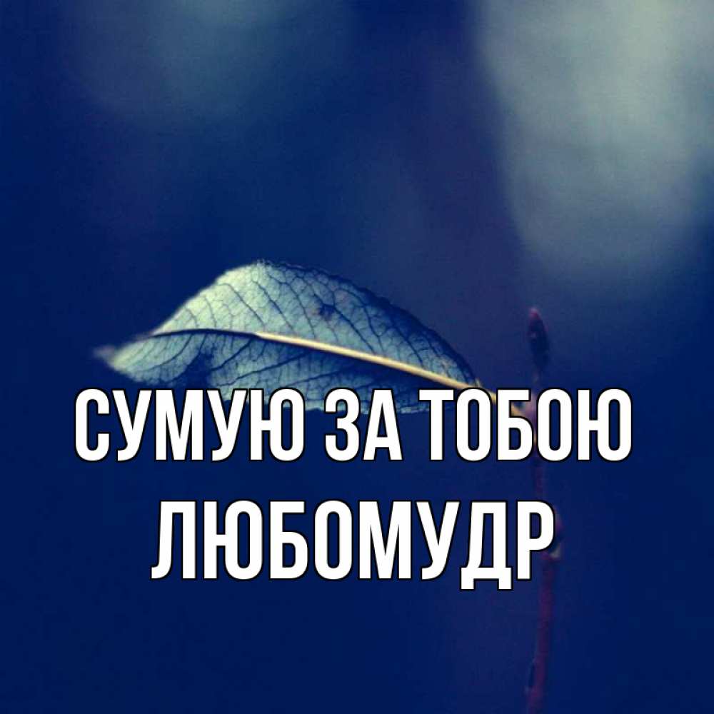 Открытка на каждый день з підписом, Любомудр Сумую за тобою одна ветка 1 Прикольна листівка з побажанням онлайн скачати безкоштовно 