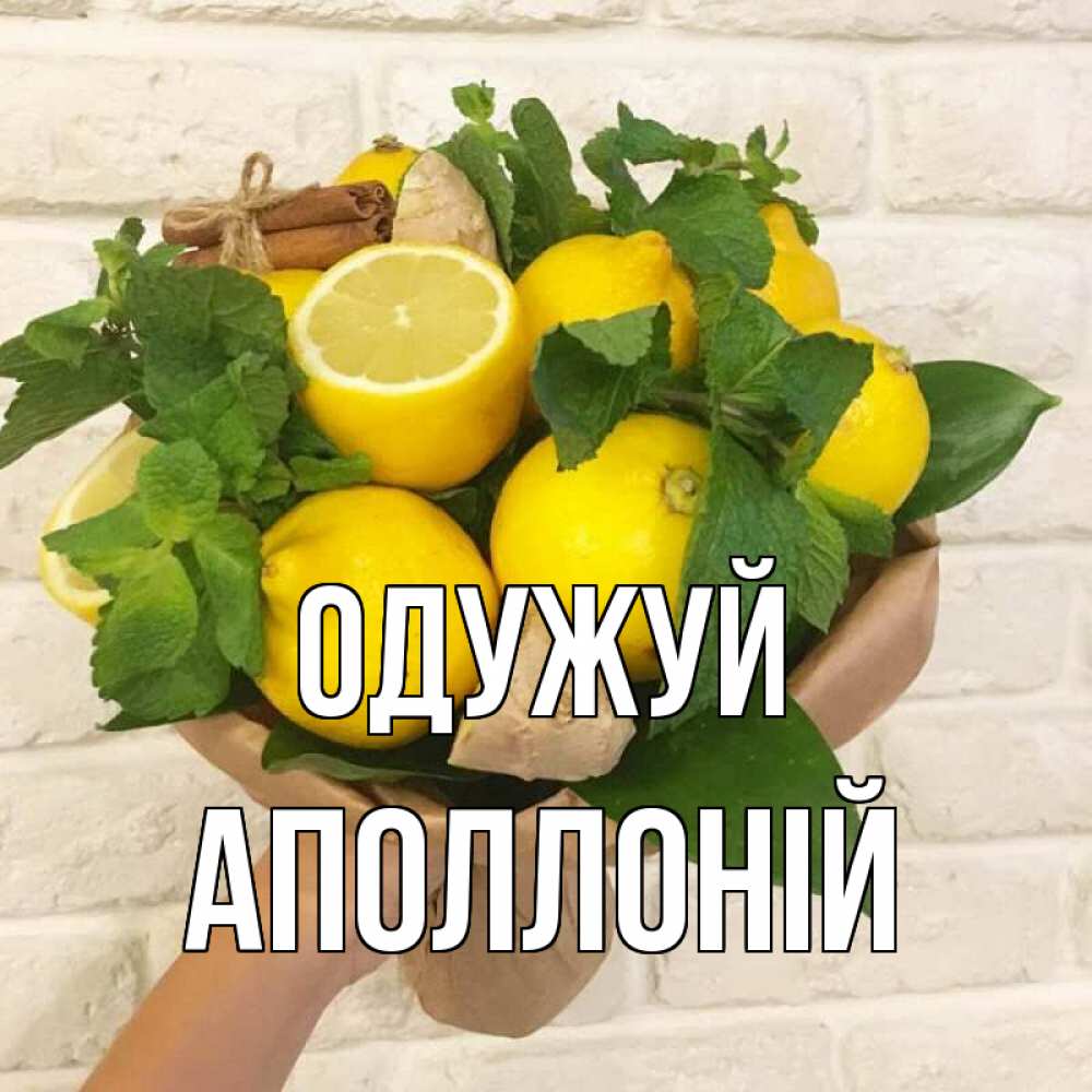 Открытка на каждый день з підписом, Аполлоній Одужуй витамины Прикольна листівка з побажанням онлайн скачати безкоштовно 