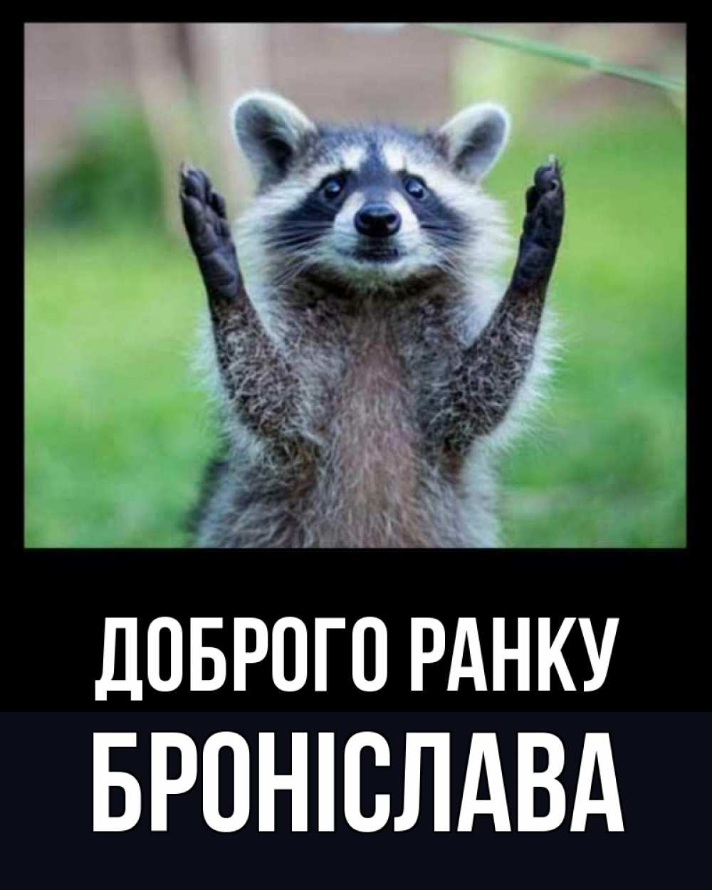 Открытка на каждый день з підписом, Броніслава Доброго ранку хорошее настроение утречком Прикольна листівка з побажанням онлайн скачати безкоштовно 