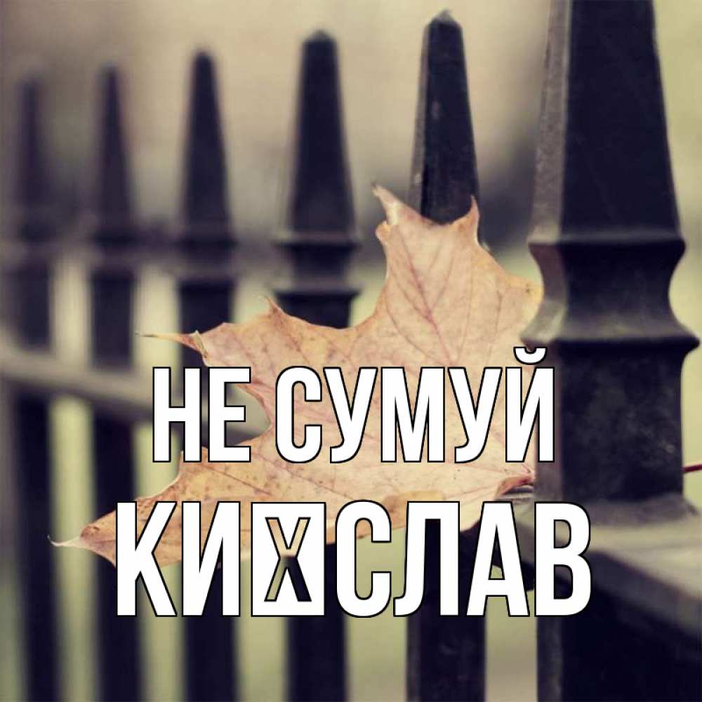 Открытка на каждый день з підписом, Києслав Не сумуй лист клена Прикольна листівка з побажанням онлайн скачати безкоштовно 