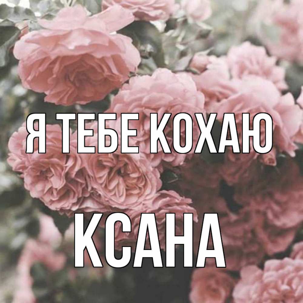 Открытка на каждый день з підписом, Ксана Я тебе кохаю розы 3 Прикольна листівка з побажанням онлайн скачати безкоштовно 