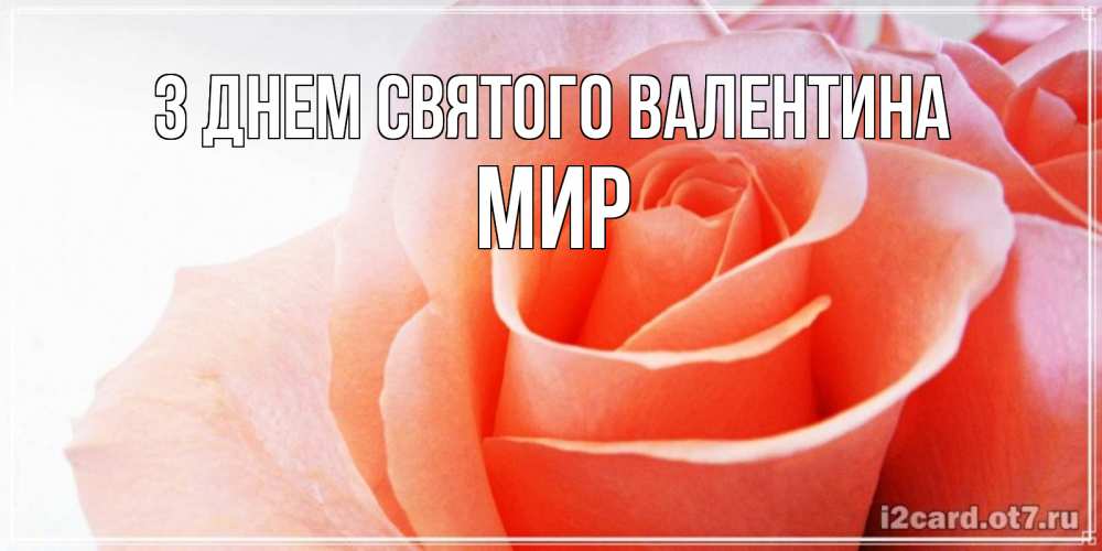 Открытка на каждый день з підписом, Мир З Днем Святого Валентина открытка на день Святого Валентина с розовой розой Прикольна листівка з побажанням онлайн скачати безкоштовно 