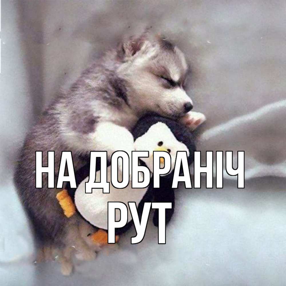Открытка на каждый день з підписом, Рут На добраніч обнимашки щенка и пингвина Прикольна листівка з побажанням онлайн скачати безкоштовно 