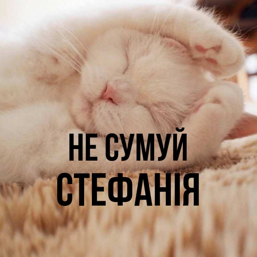 Открытка на каждый день з підписом, Стефанія Не сумуй Котенок спит Прикольна листівка з побажанням онлайн скачати безкоштовно 