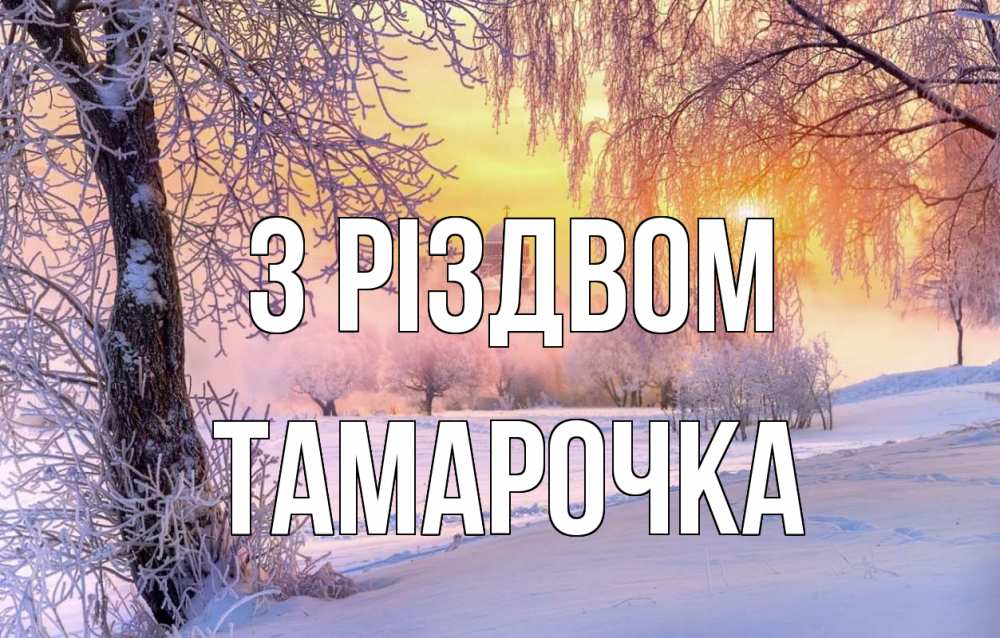 Открытка на каждый день з підписом, Тамарочка З Різдвом рождество, лес, зима 1 Прикольна листівка з побажанням онлайн скачати безкоштовно 