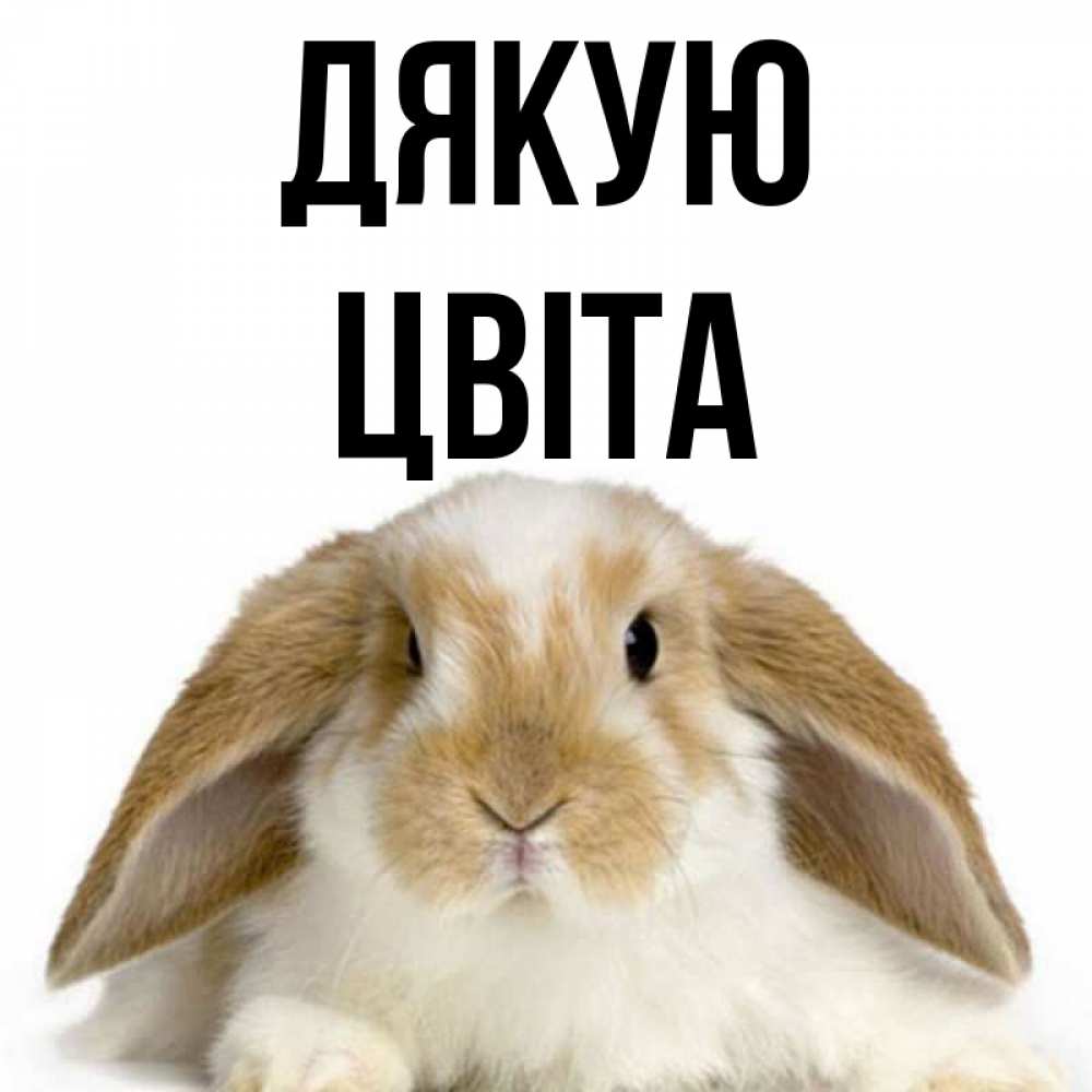 Открытка на каждый день з підписом, Цвіта Дякую коричнево белый заяц Прикольна листівка з побажанням онлайн скачати безкоштовно 