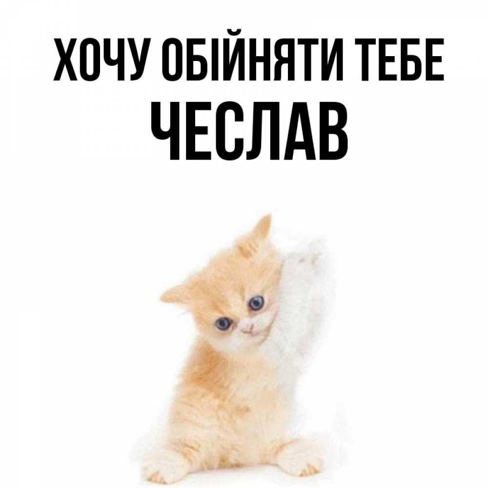 Открытка на каждый день з підписом, Чеслав Хочу обійняти тебе я хочу очень скорее обнимаешек Прикольна листівка з побажанням онлайн скачати безкоштовно 