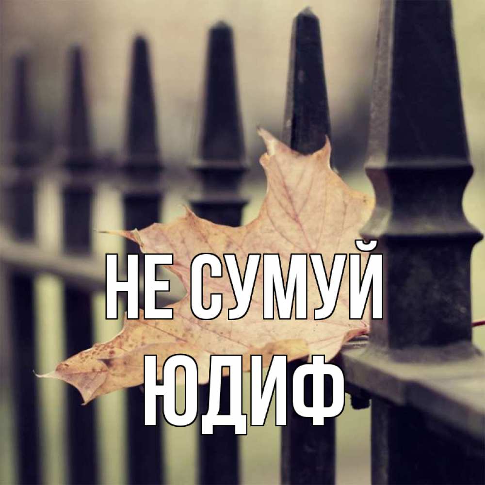 Открытка на каждый день з підписом, Юдиф Не сумуй лист клена Прикольна листівка з побажанням онлайн скачати безкоштовно 