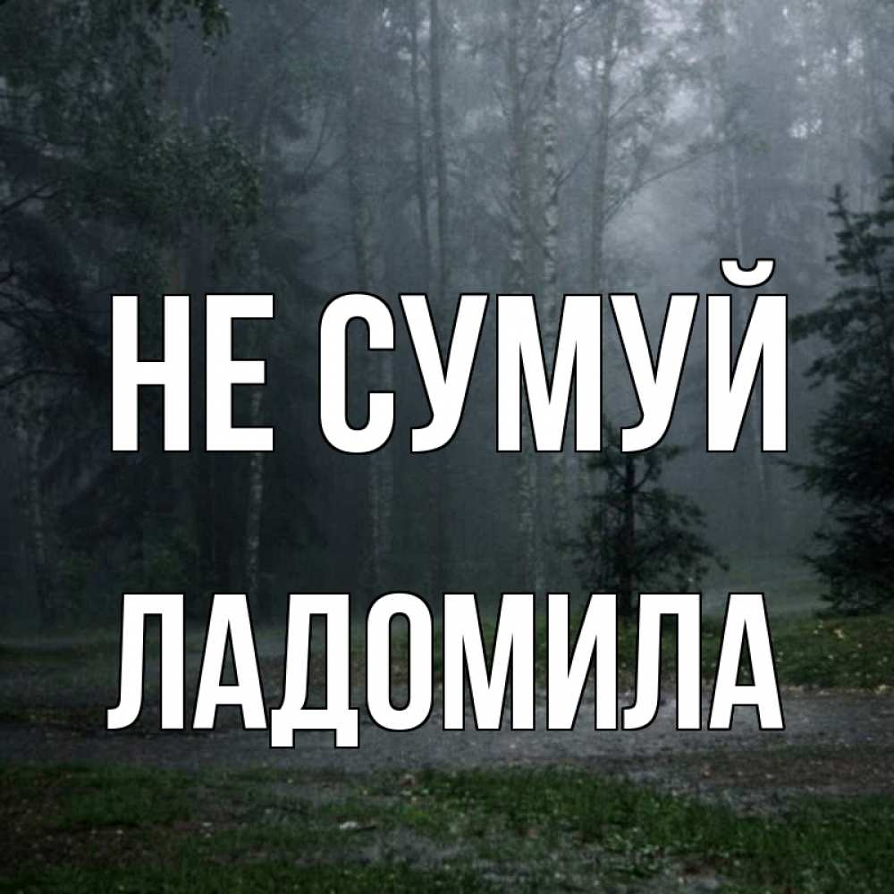 Открытка на каждый день з підписом, Ладомила Не сумуй осень Прикольна листівка з побажанням онлайн скачати безкоштовно 