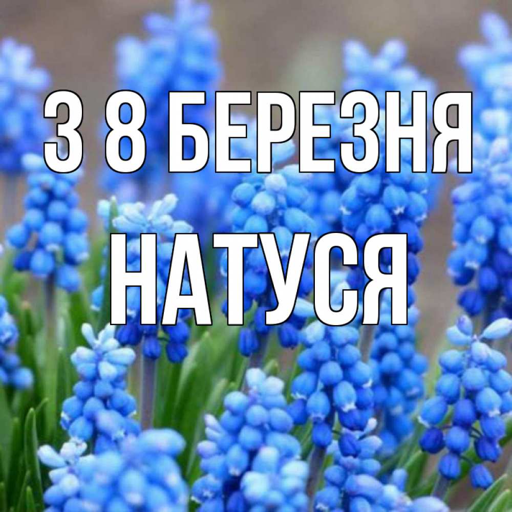 Открытка на каждый день з підписом, Натуся З 8 БЕРЕЗНЯ Поздравительная открытка для женщин с цветами на праздничную дату Прикольна листівка з побажанням онлайн скачати безкоштовно 