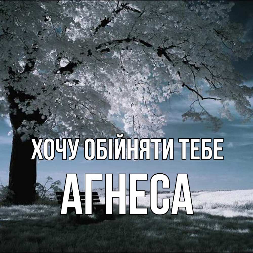 Открытка на каждый день з підписом, Агнеса Хочу обійняти тебе дерево Прикольна листівка з побажанням онлайн скачати безкоштовно 