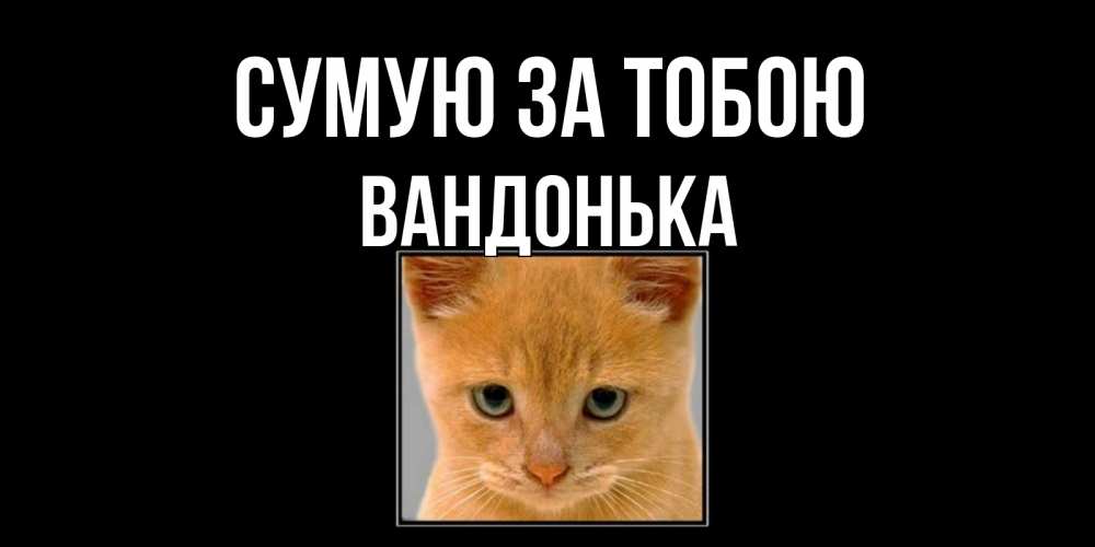 Открытка на каждый день з підписом, Вандонька Сумую за тобою открытки рыжий котенок скучает по тебе Прикольна листівка з побажанням онлайн скачати безкоштовно 