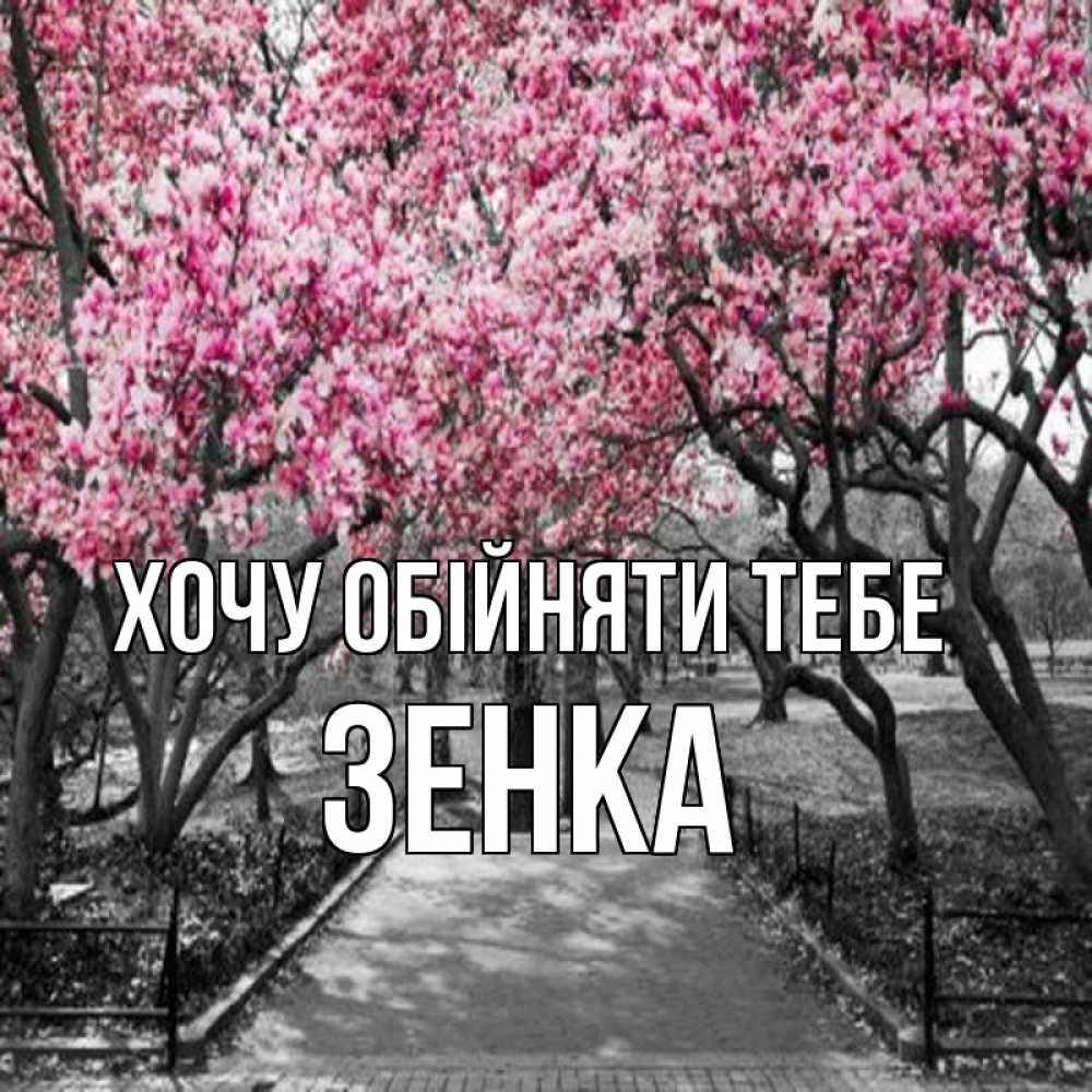 Открытка на каждый день з підписом, Зенка Хочу обійняти тебе обработанное фото Прикольна листівка з побажанням онлайн скачати безкоштовно 