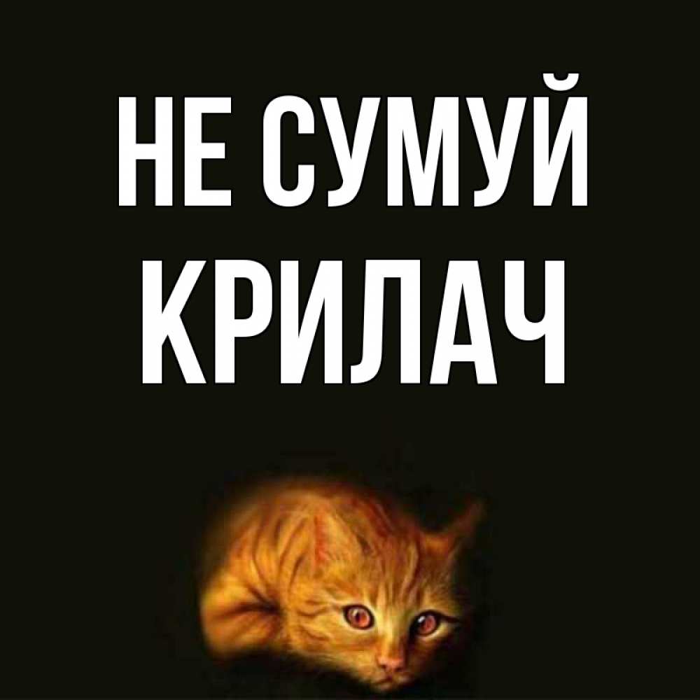 Открытка на каждый день з підписом, Крилач Не сумуй лежащий кот в темноте Прикольна листівка з побажанням онлайн скачати безкоштовно 