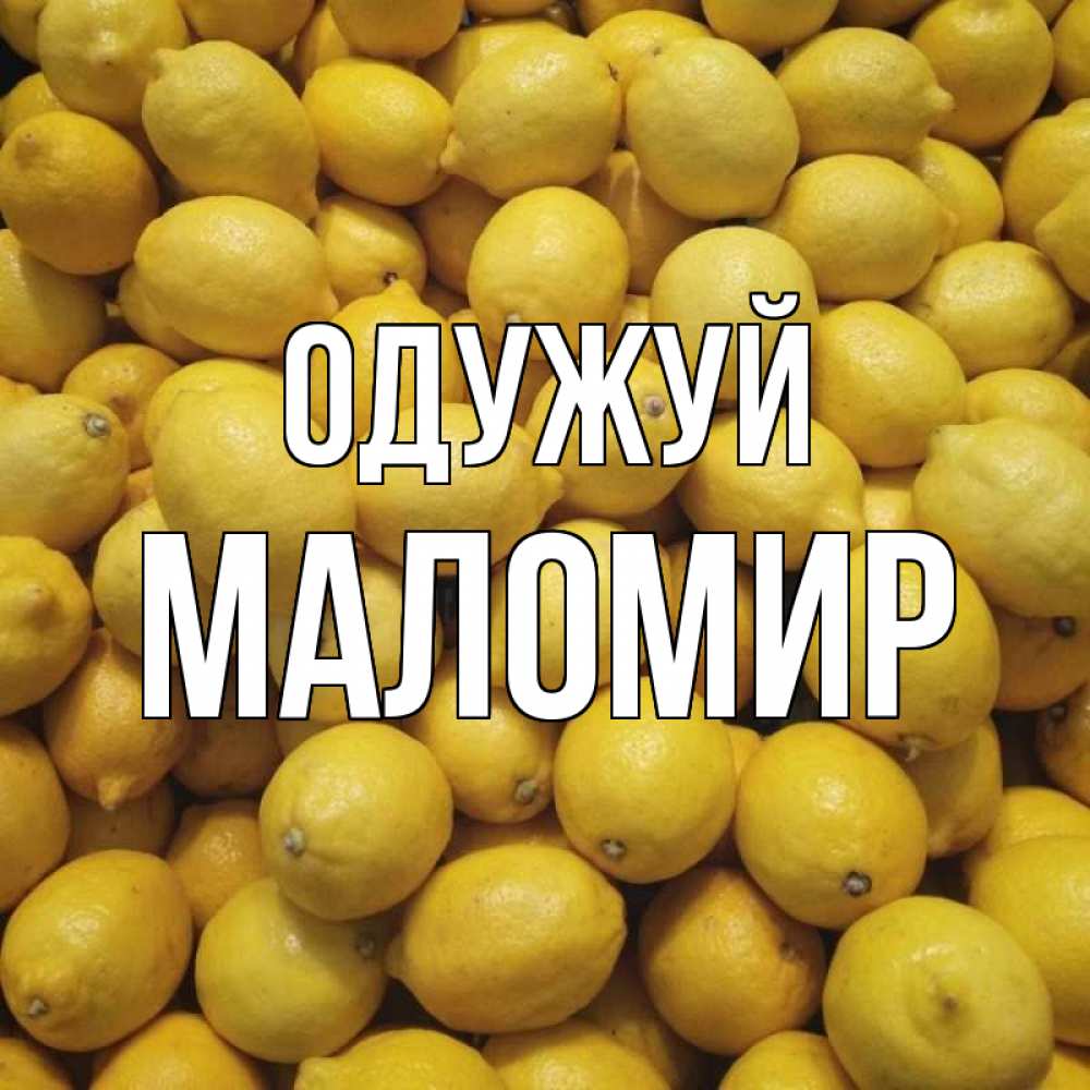 Открытка на каждый день з підписом, Маломир Одужуй это точно поможет Прикольна листівка з побажанням онлайн скачати безкоштовно 