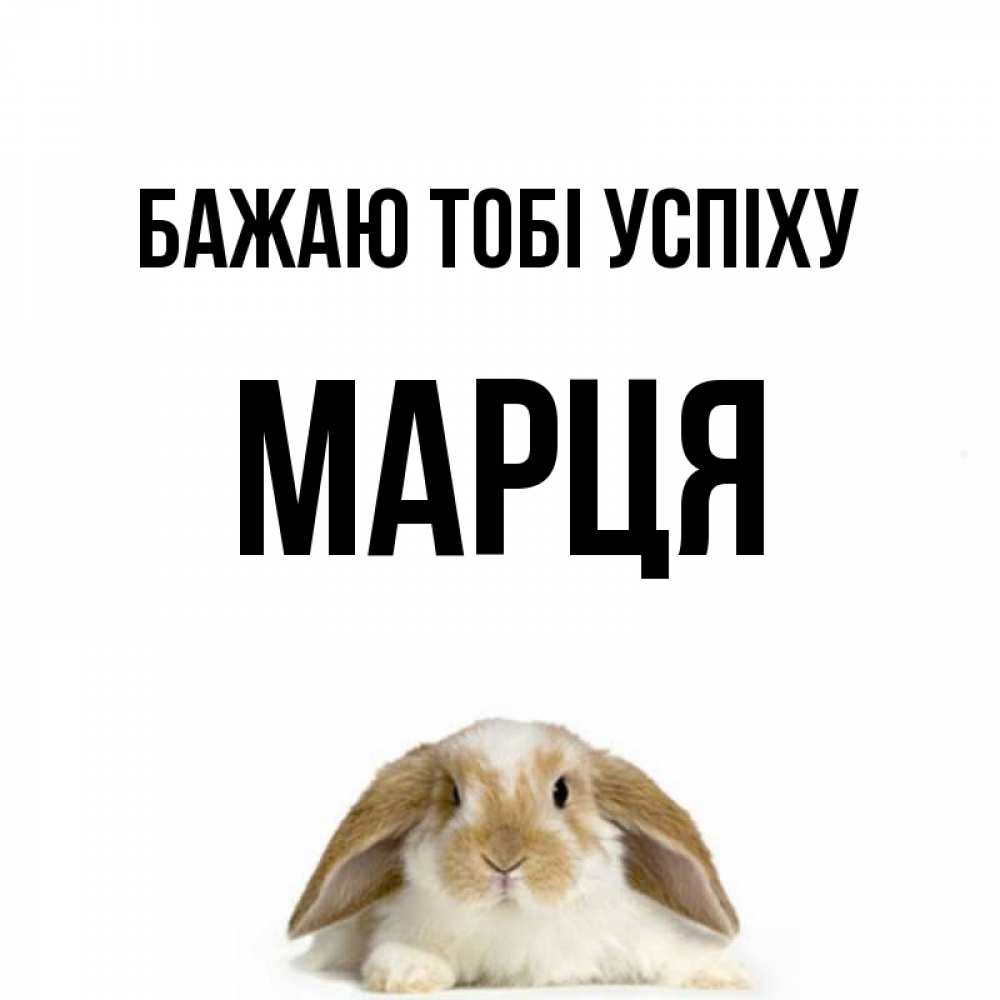 Открытка на каждый день з підписом, Марця Бажаю тобі успіху открытки с произвольным текстом который можно вставить в открытку и создать ее самостоятельно бесплатно онлайн Прикольна листівка з побажанням онлайн скачати безкоштовно 