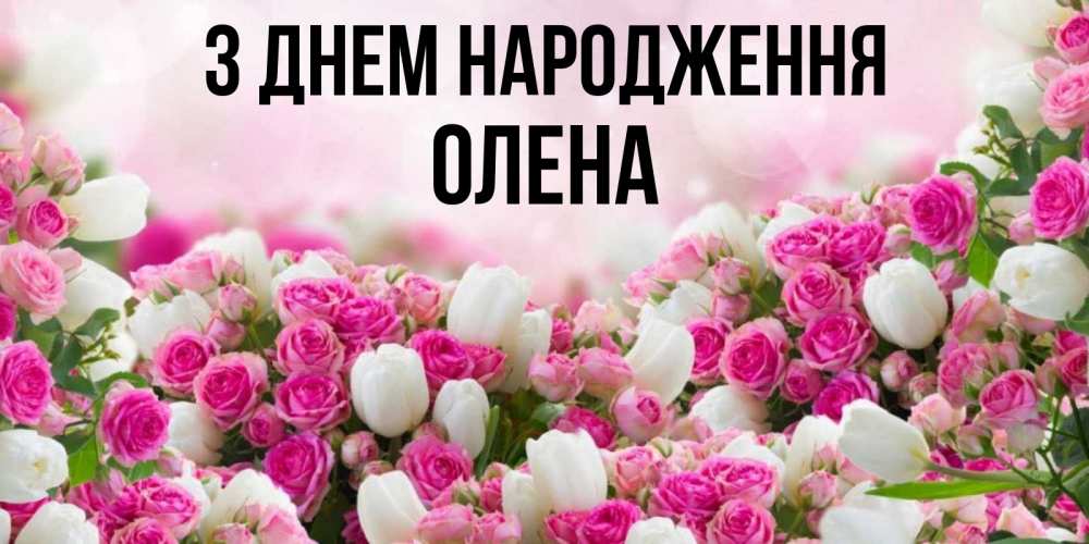 Открытка на каждый день з підписом, Олена З Днем народження открытка с разными розами Прикольна листівка з побажанням онлайн скачати безкоштовно 