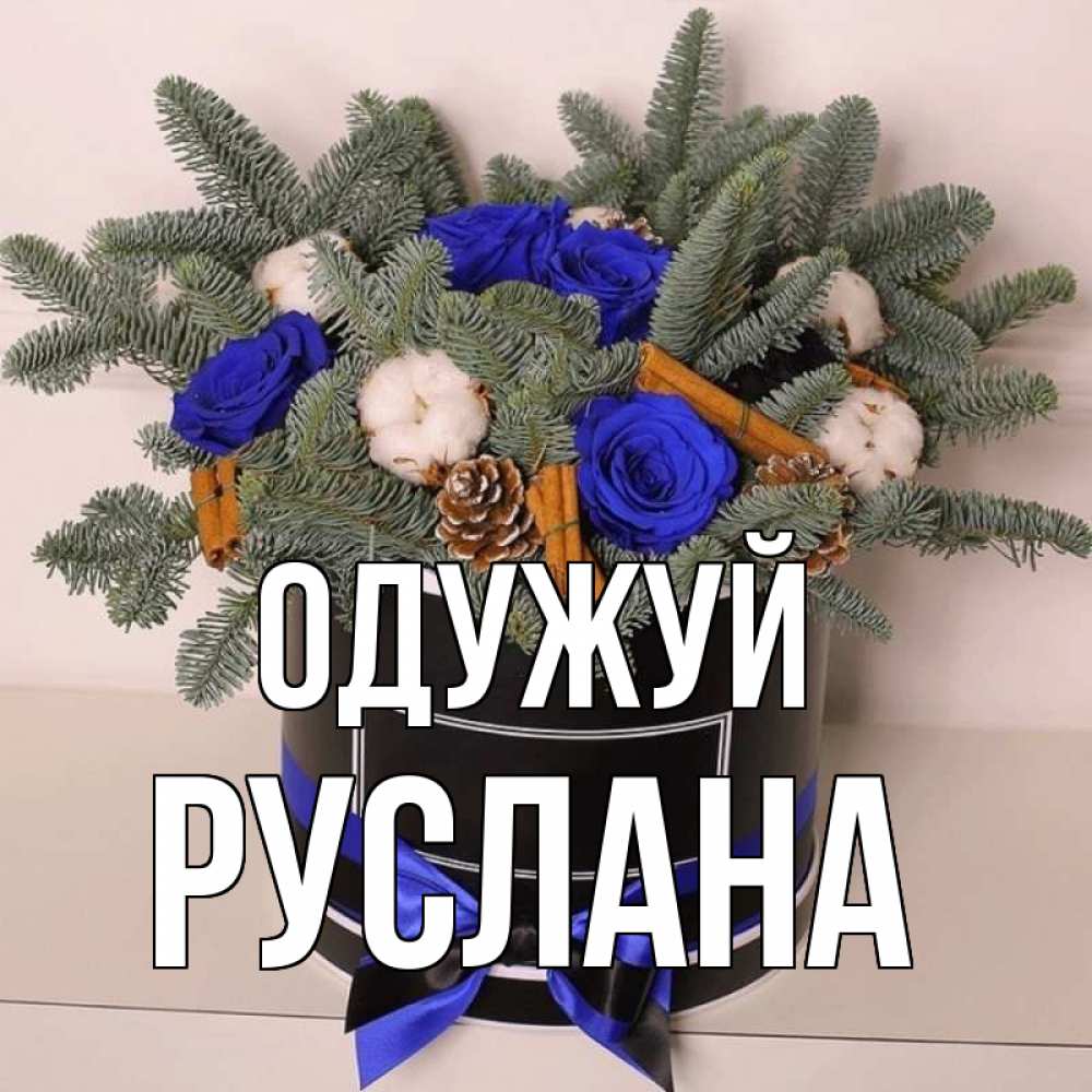 Открытка на каждый день з підписом, Руслана Одужуй короче кто то загрузил эти шишки Прикольна листівка з побажанням онлайн скачати безкоштовно 